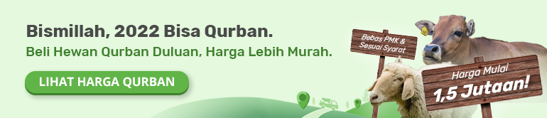 Qurban Online