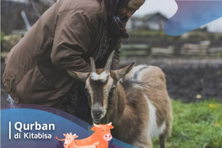 Sudah Tahu 7 Hikmah Qurban Pada Idul Adha? | Kitabisa.com