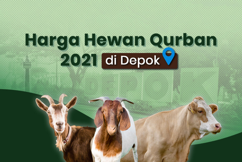 harga hewan qurban 2021 di depok