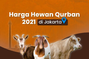Harga hewan qurban di Jakarta