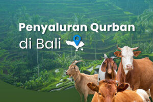 Qurban di Bali