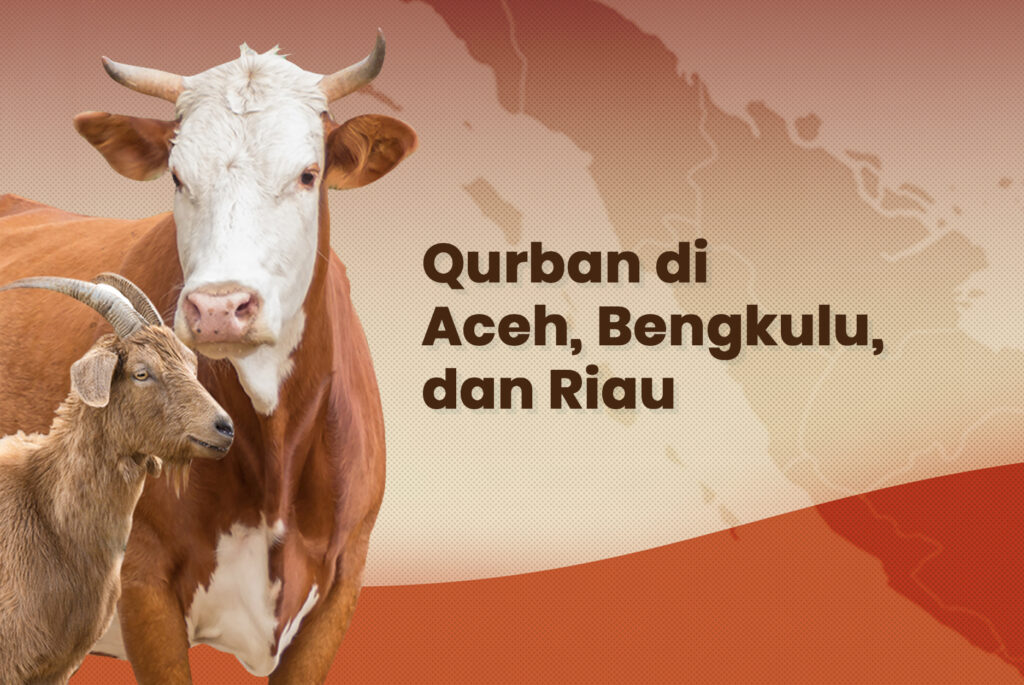 qurban di aceh bengkulu dan riau