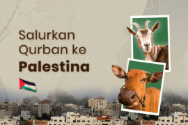 Salurkan Qurban ke Palestina